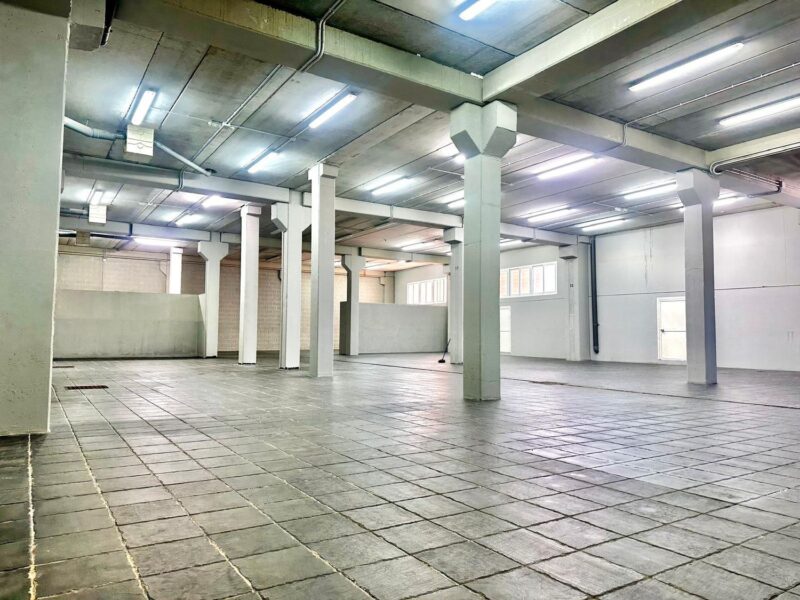 Industrial building for rent in Nueva Andalucía, Marbella, Málaga (Spain)